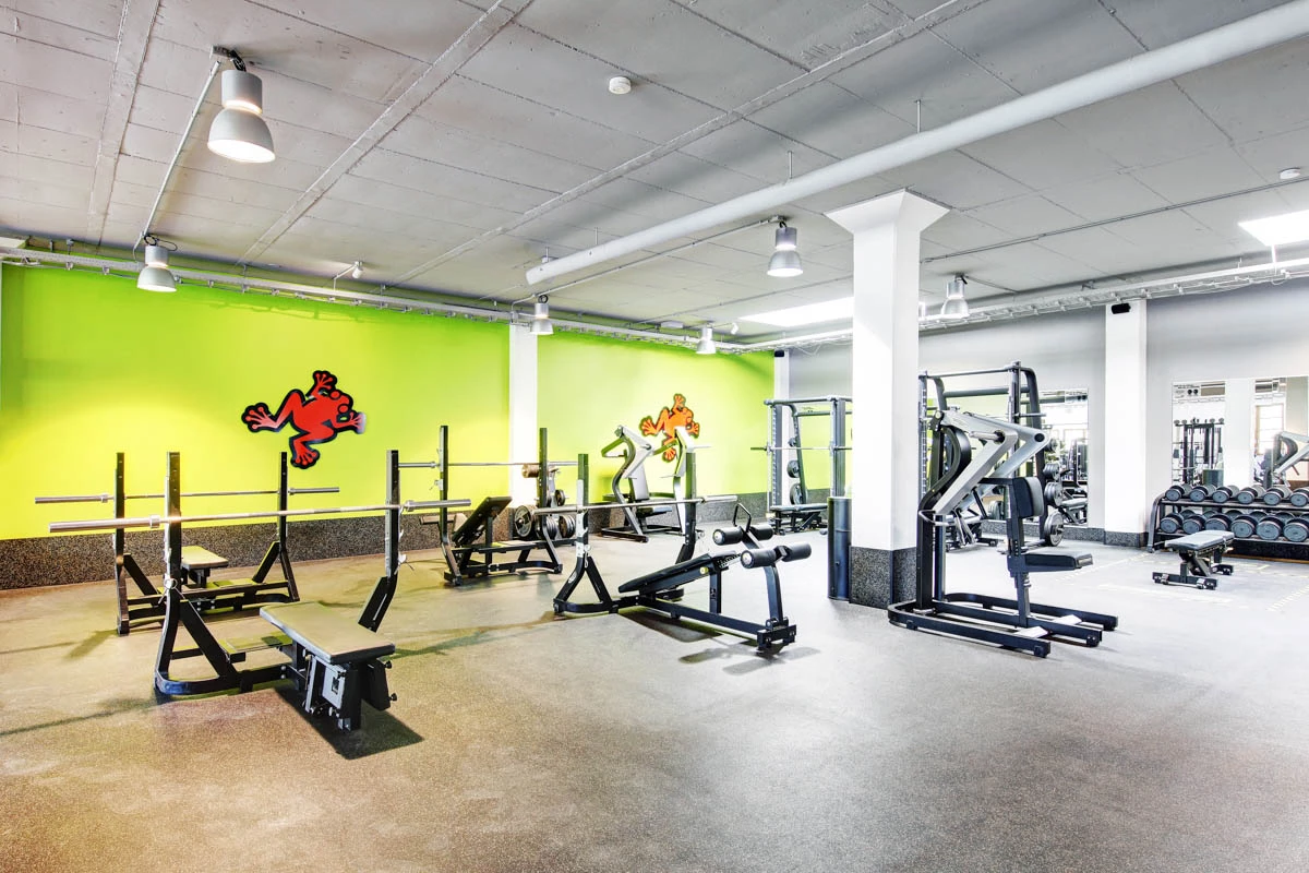 jumpers fitness Studio Esslingen Freihantelbereich