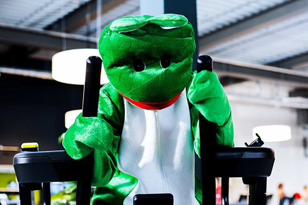 jumpers fitness Frosch