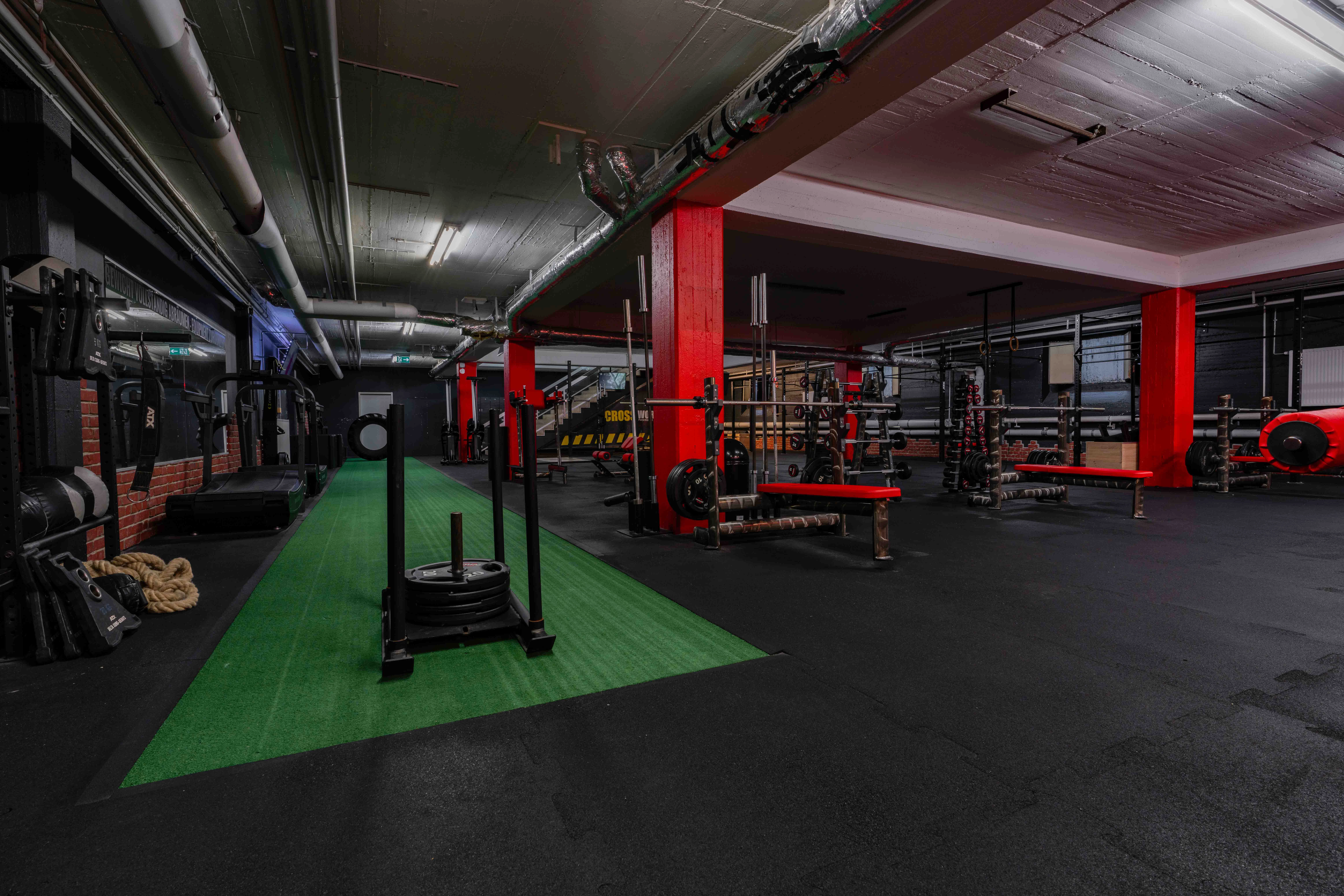 Mitglieder trainieren gemeinsam im Studio