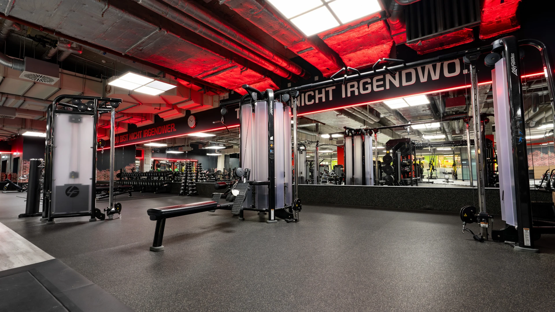 jumpers fitness Frosch