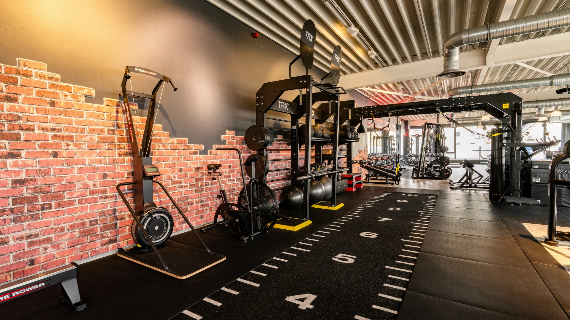 Functional Training Mann und Frau an Kinesis Wand