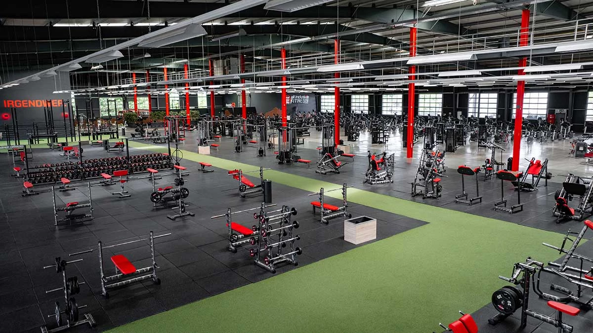 Mitglieder trainieren gemeinsam im Studio