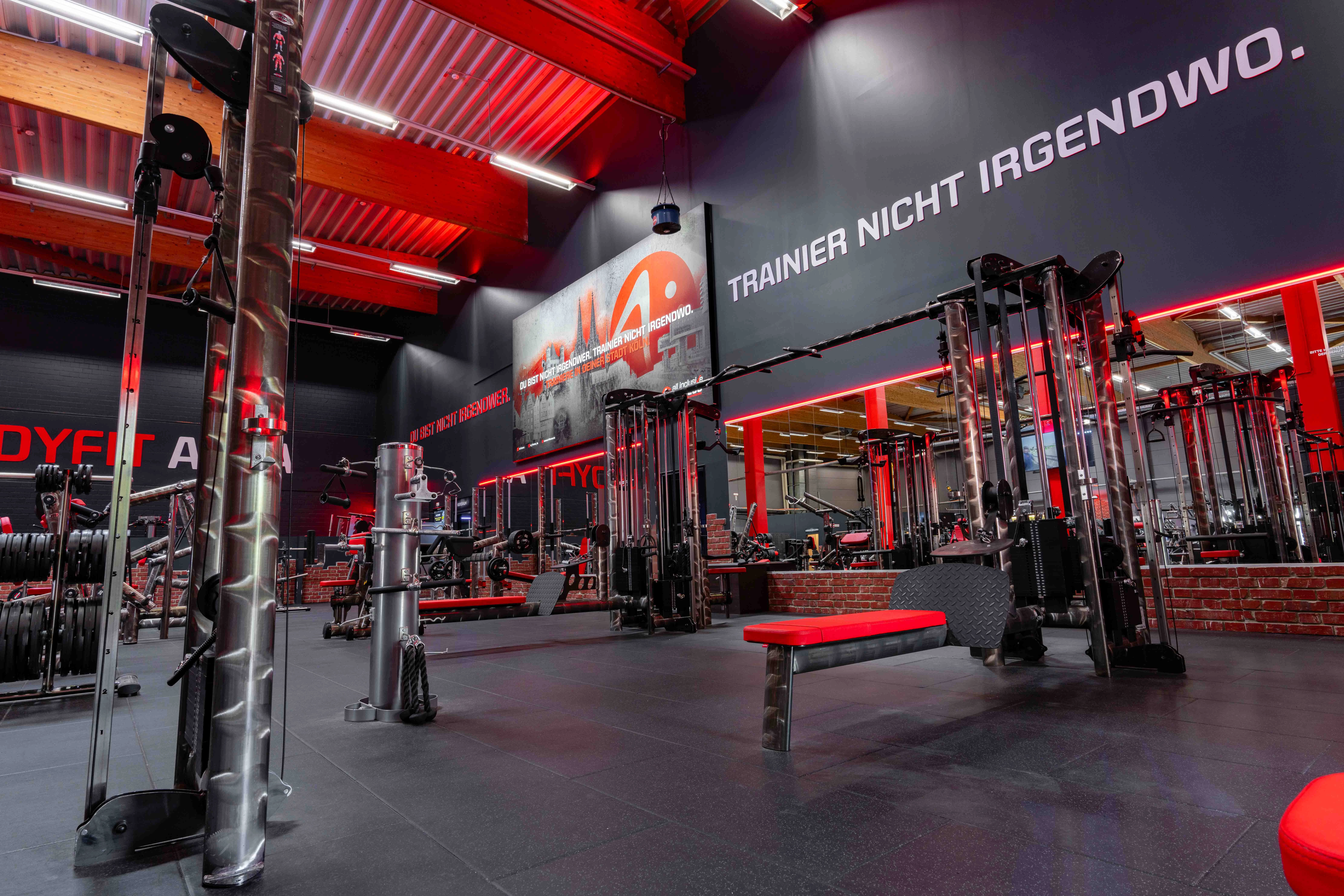 Mitglieder trainieren gemeinsam im Studio